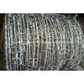 Barbed Wire Bwg12*Bwg14 Hot Sale with Certification